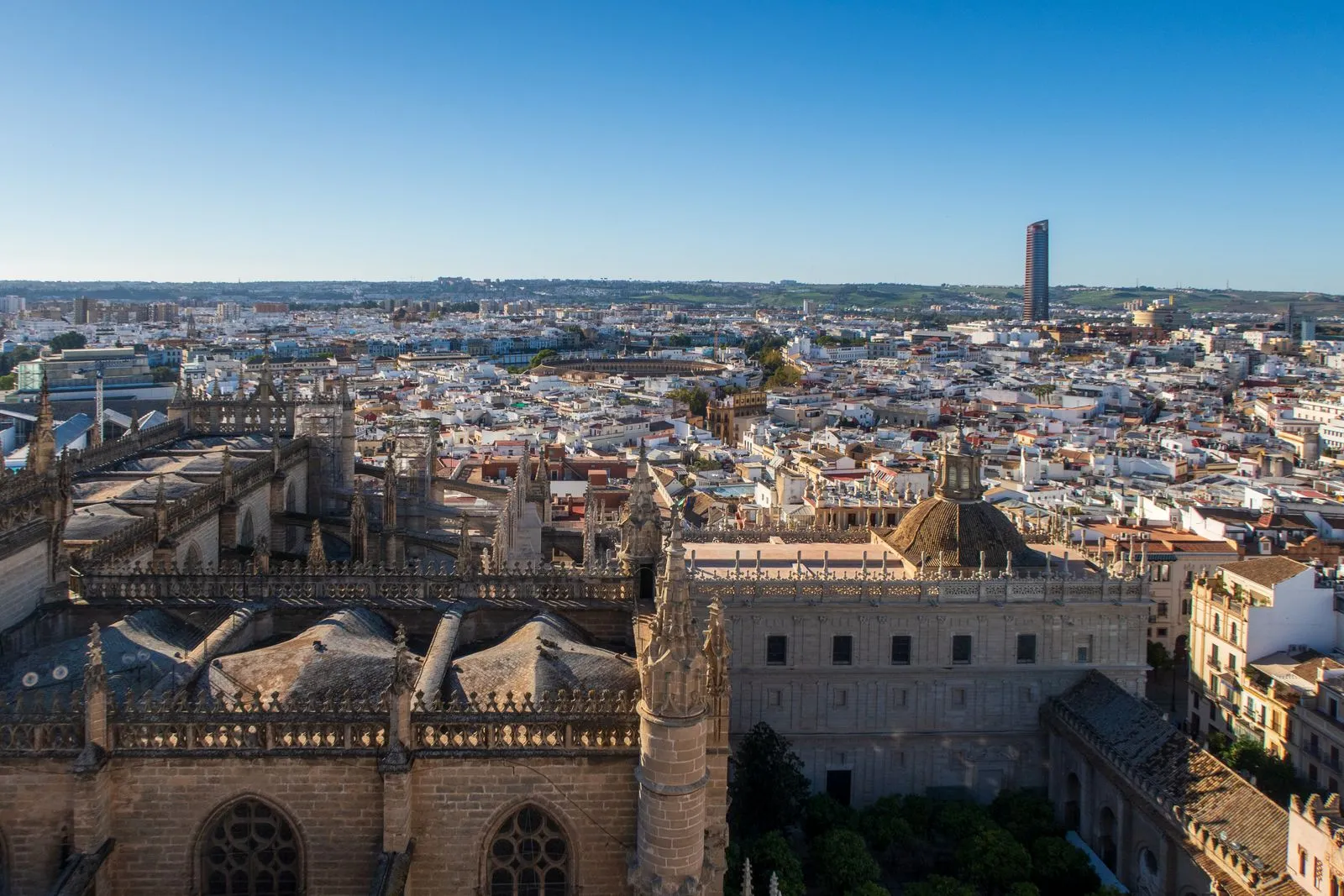 Cathedral & Giralda