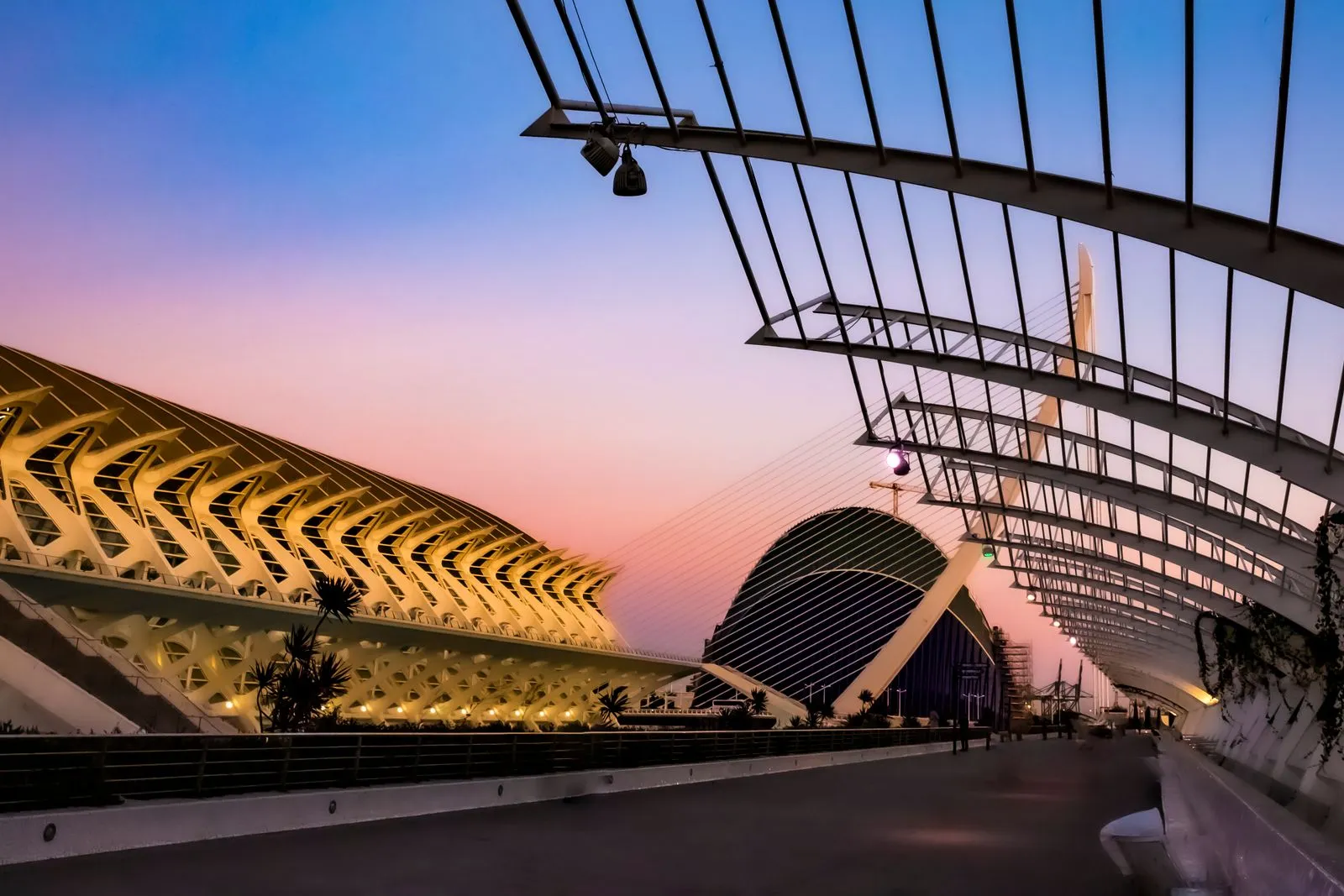City of Arts and Sciences