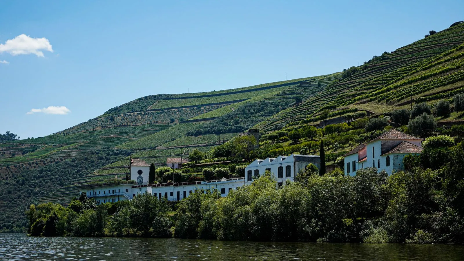 Day trip: Douro Valley
