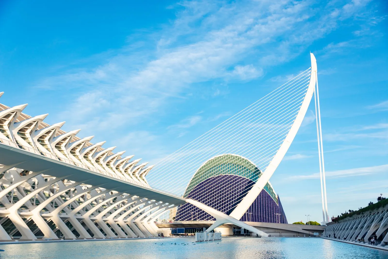 Valencia’s old town