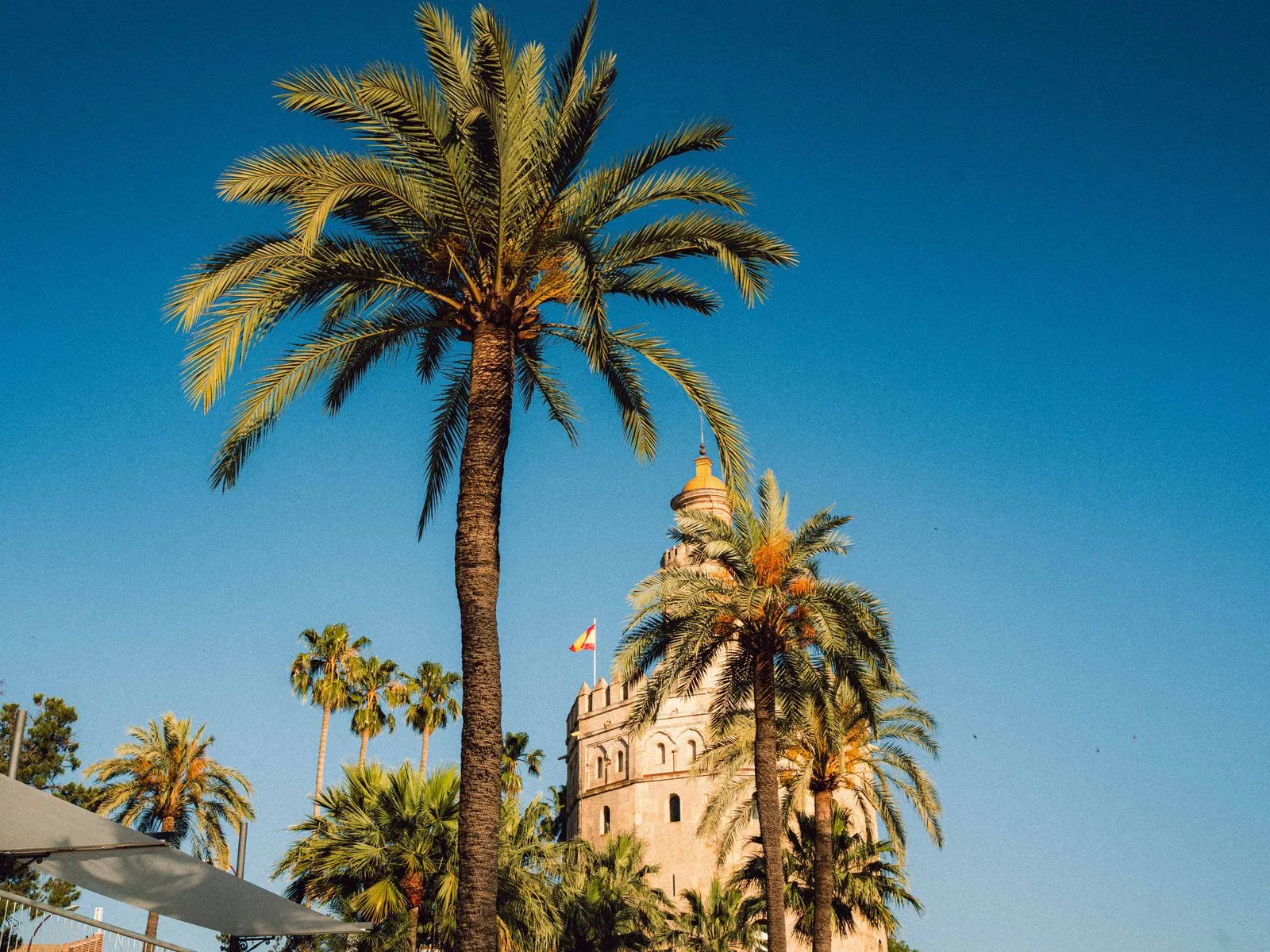 Torre del Oro